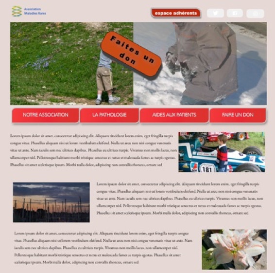 image de la home page du site